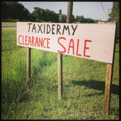 Taxidermy Sale