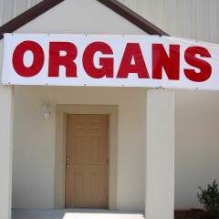 Organs