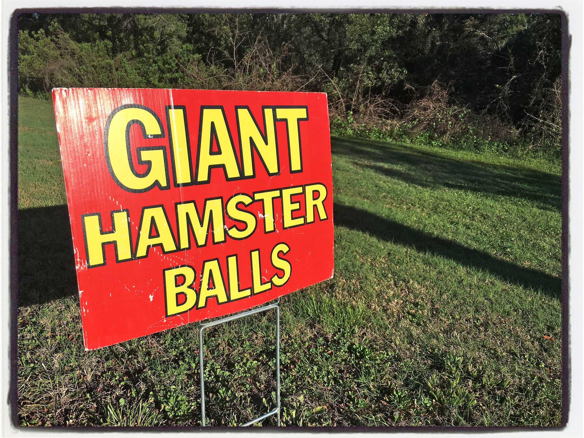 Hamster Balls