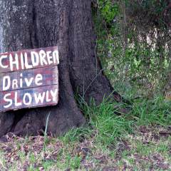 Children Drive Slowly